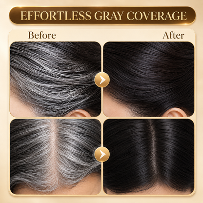 🔥 LAST DAY SALE 50% OFF 🔥 VELORIA Long-Lasting Hair Comb Dye for Men & Women